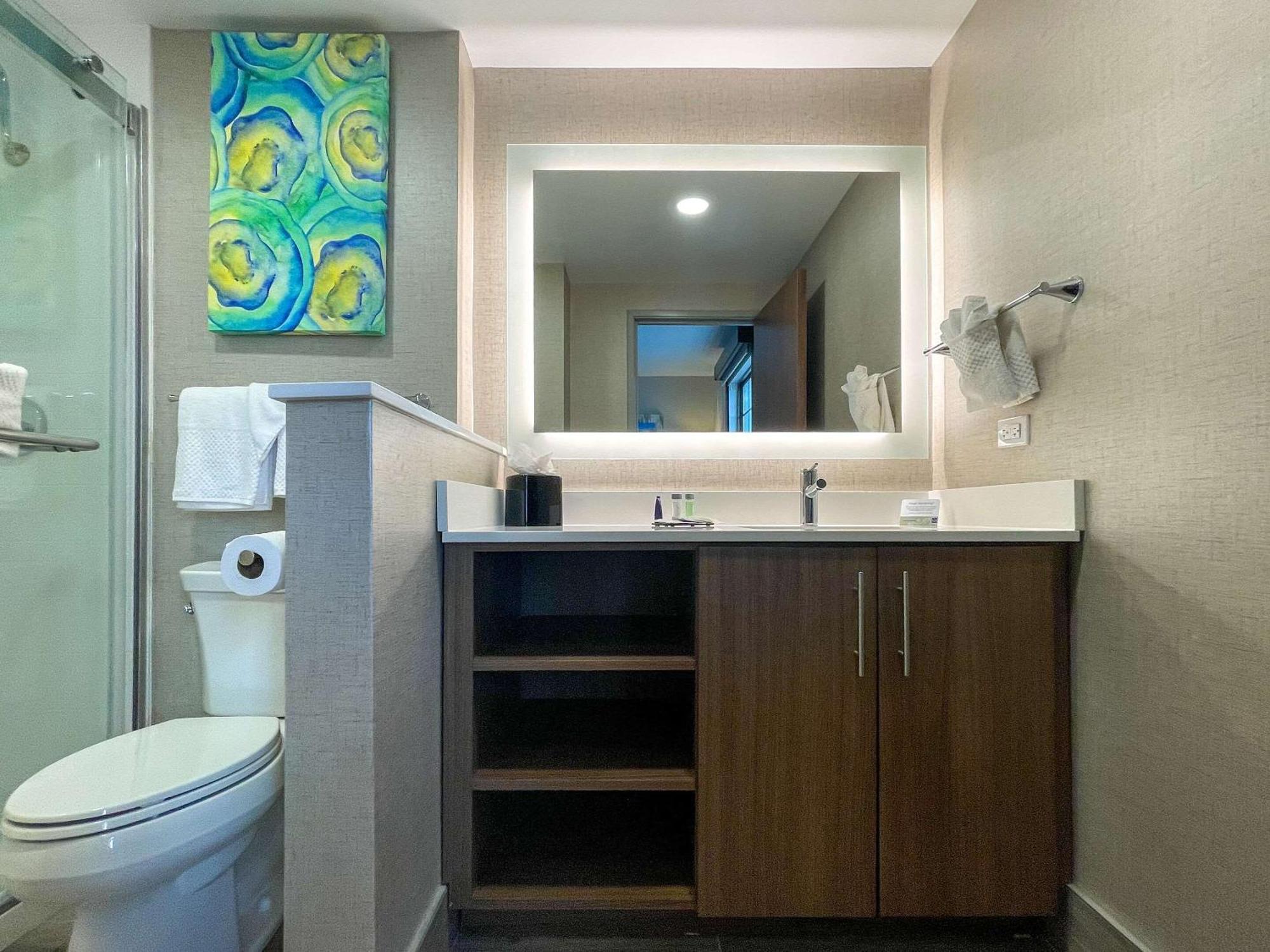 Mainstay Suites Oakbrook Terrace - Chicago Eksteriør billede